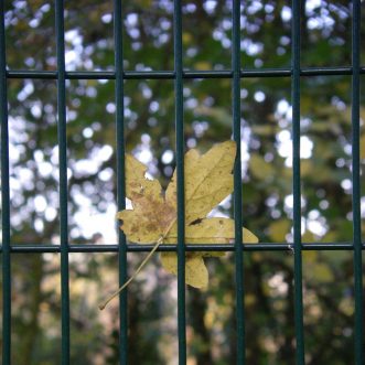 STUCK POINTS: Inner Narratives Keeping Us From Post Traumatic Growth