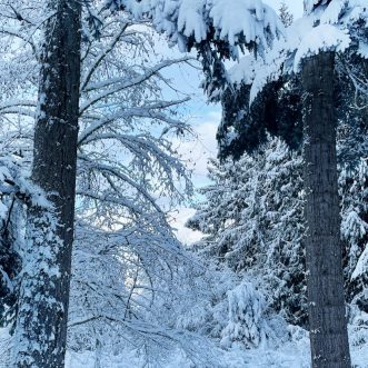 Grief & Loss Meditation