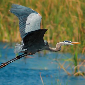 Personal Agency and Authority 